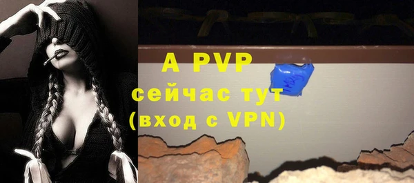 PSILOCYBIN Верхний Тагил