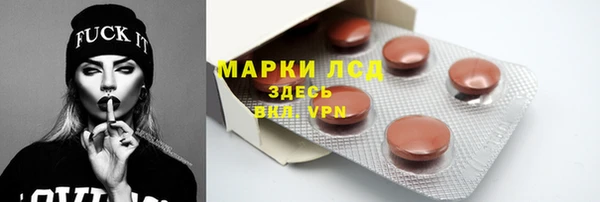 PSILOCYBIN Верхний Тагил
